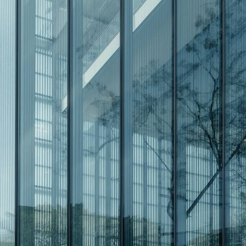 Eine einheitliche, durchgehende Glasfront mit integriertem Vogelschutzglas. Feine, gleichmäßige Linien oder Muster sind über die gesamte Glasfläche verteilt – elegant, dezent und professionell. Moderne Architektur, klare Darstellung